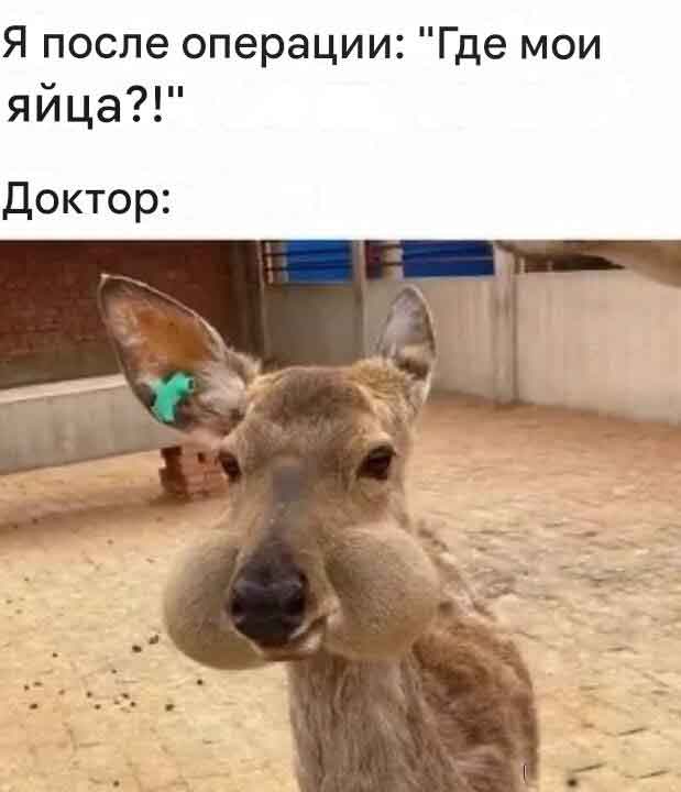 Повседневное