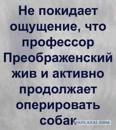Вопрос возник