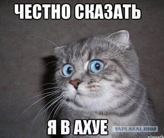 Девушки бывают разные (16.07)