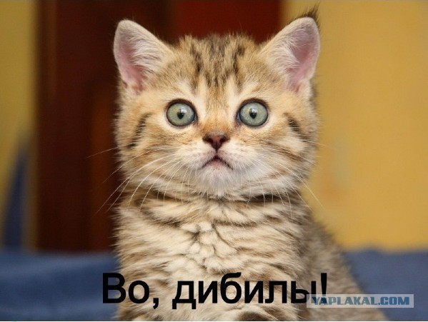 Джереми, зря ты заснул, зря!