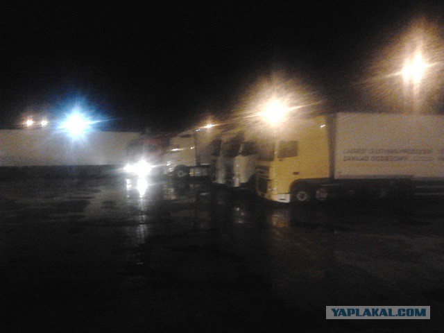 Где яблоки растут!