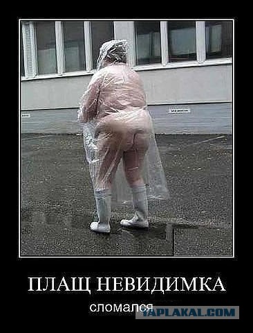 Весёлые картинки. Разбавим будни