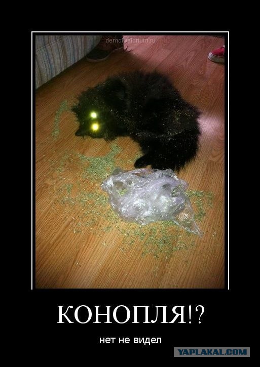 Легкой наркомании пост