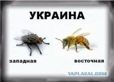 Ужасы российского Крыма