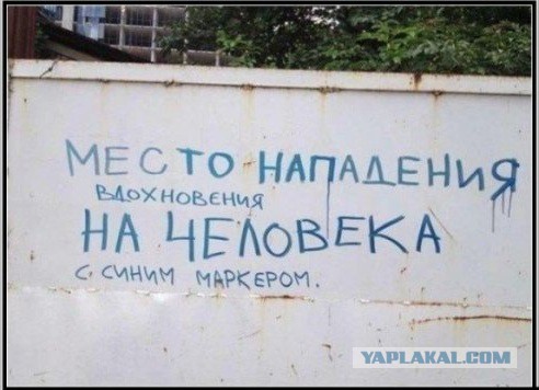 Смешные картинки с подписями 2