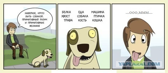 Хорошо быть собакой...