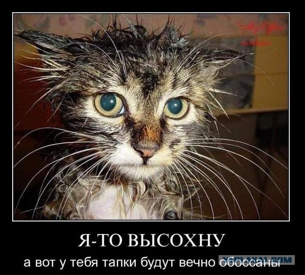 Поднимаем настроение