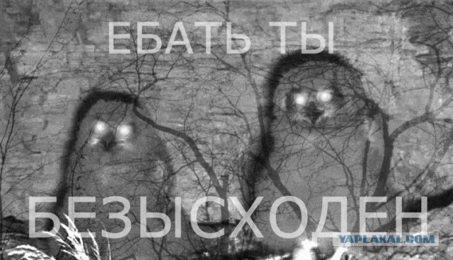 Рафик "Доберман " не виноуват