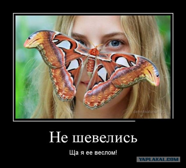 Демотиваторов пост, добавляйте свои