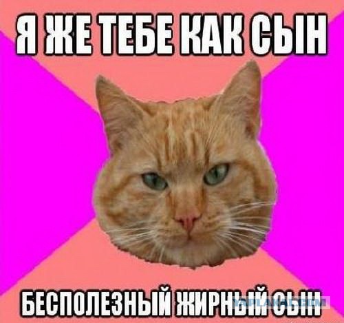 Весёлые картинки