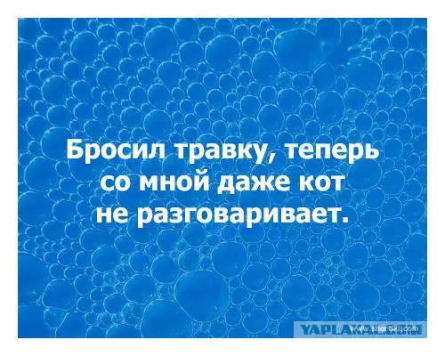 Веселые картинки