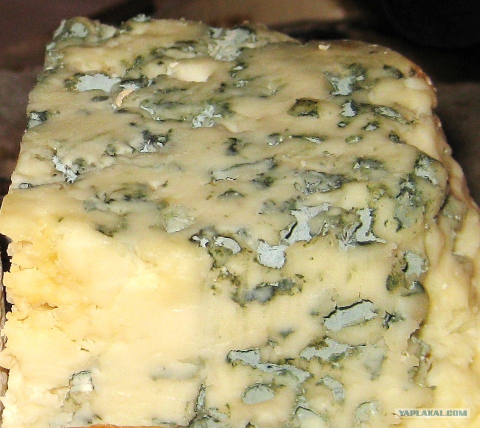 Запечь сыр с плесенью