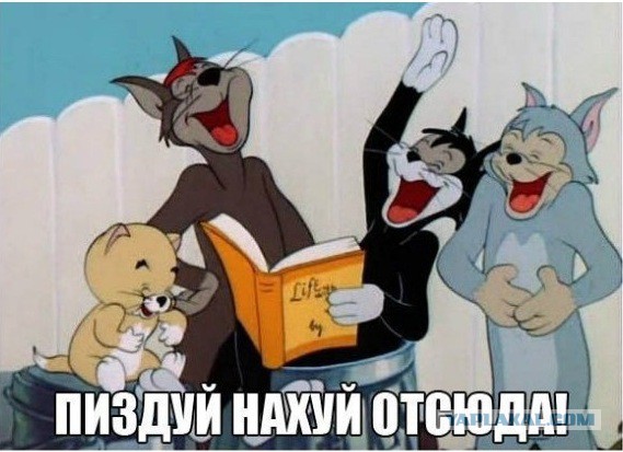 Как же меня бесят!