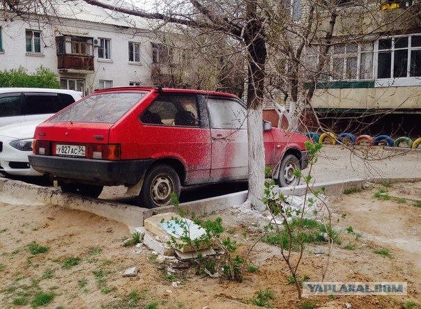 Подборка автоприколов