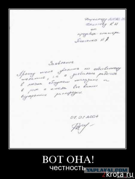 Объяснительная все объясняет
