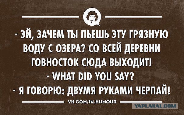Весёлые картинки