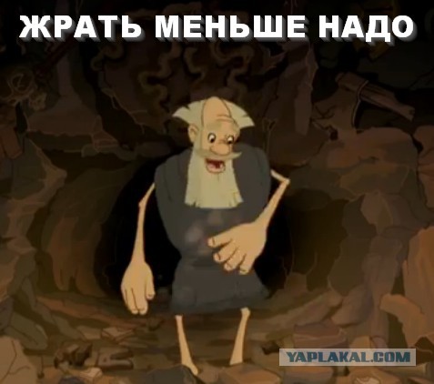 65 советов жиробаса. Как похудеть быстро