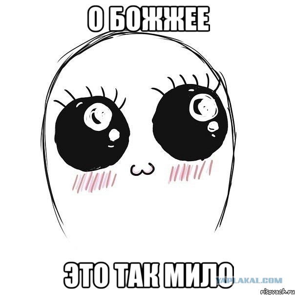 Твоя женственность: куда бежать и что делать, если