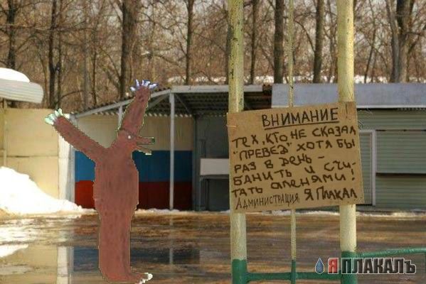 ВЫВЕСКИ, ТАБЛИЧКИ. Смешные и прикольные