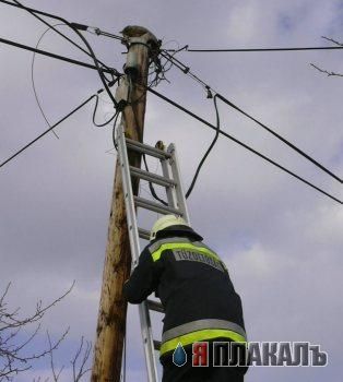 КОШКИ и ХОЗЯЕВА, подбрка картинок