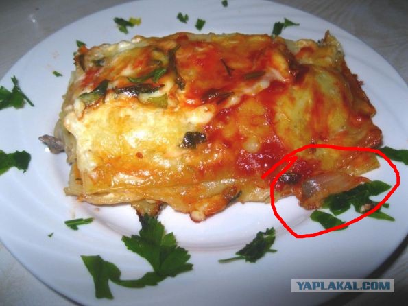 Кухня (кулинарное и околокулинарное общение)
