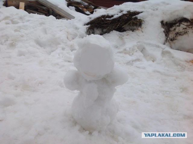 Строительство дома на даче