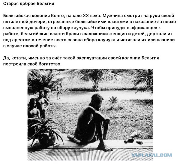 Достойный ответ террору