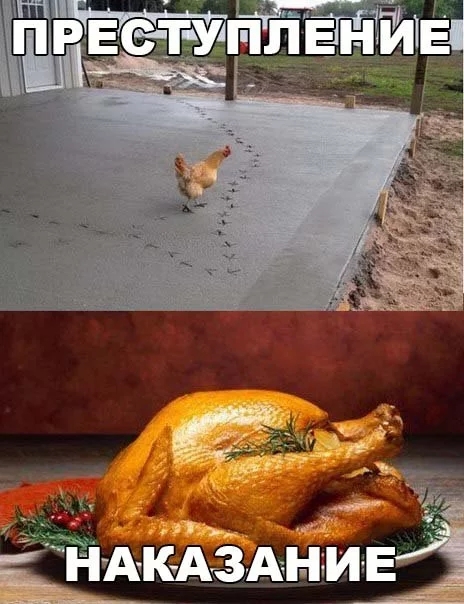 Интересные и веселые картинки