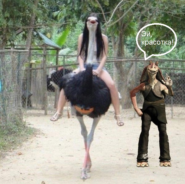 Братья наши меньшие - 2