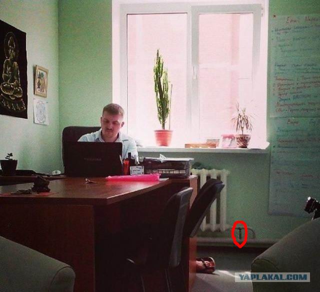 Настоящий фотограф всегда найдёт удачный ракурс!