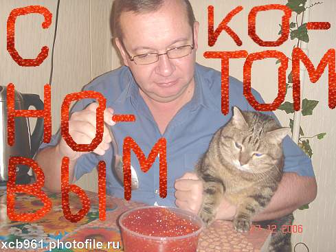 Фотожаба: Правильное питание для кота