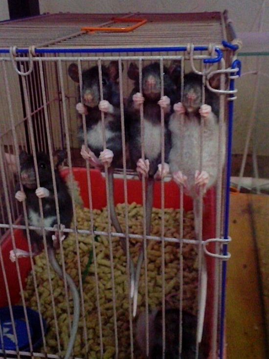 Прикольные картинки