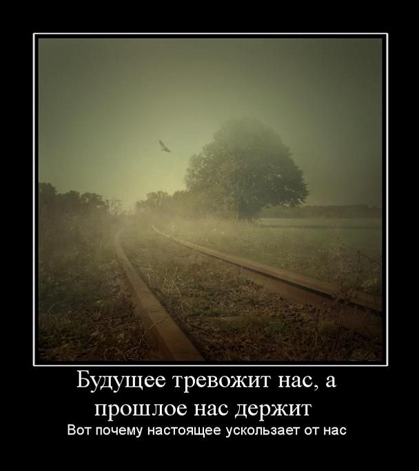 Подборка картинок