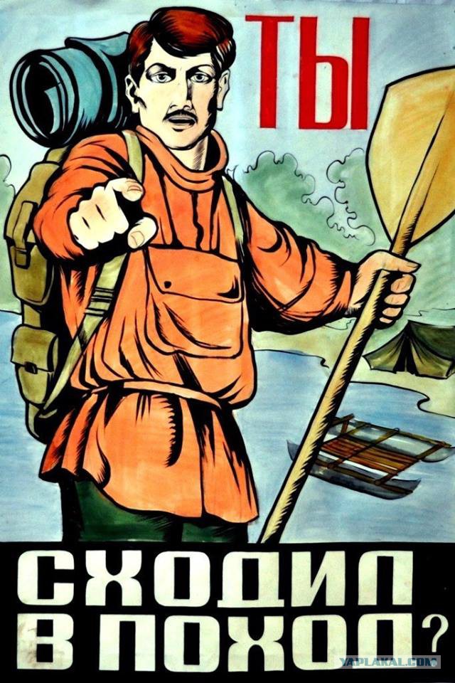 Как в зимнем лесу живется?
