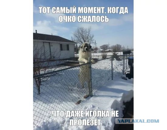 25 порций юмора не для всех