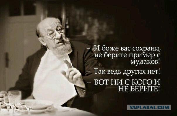 Медведев предложил чипировать кроссовки и древесину