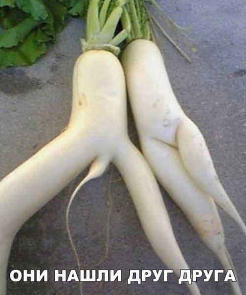 V- значит vulgaris