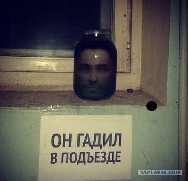 Кто вырос в бардаке и хаосе, никогда не поймет красоты и порядка.