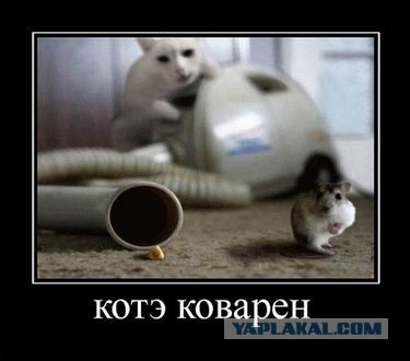 Не выбрасывайте пол-пылесоса, - он отлично дует!