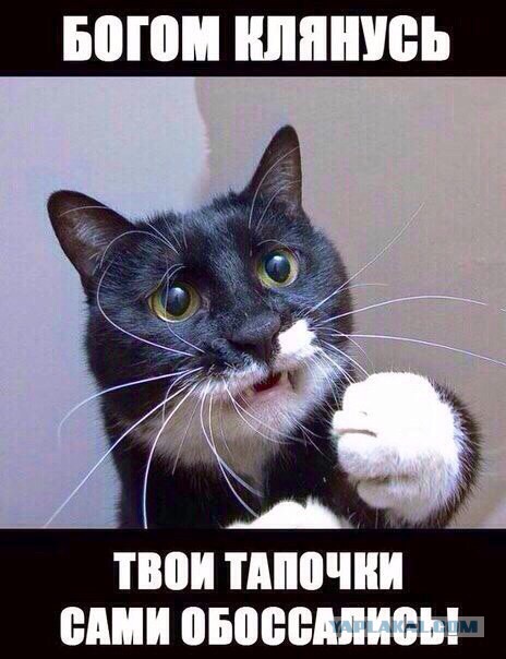 Картинки всякие для поднятия настроения