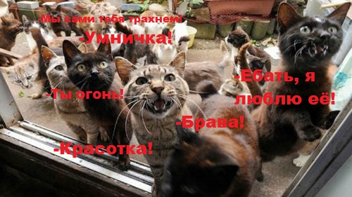 Есть тут щедрые?