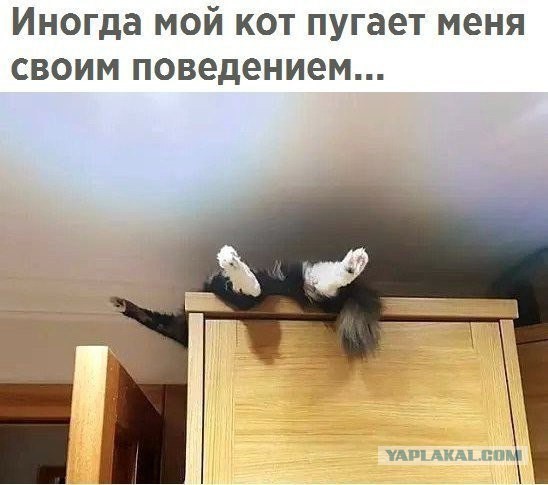 Всяко-разно в последний день лета.