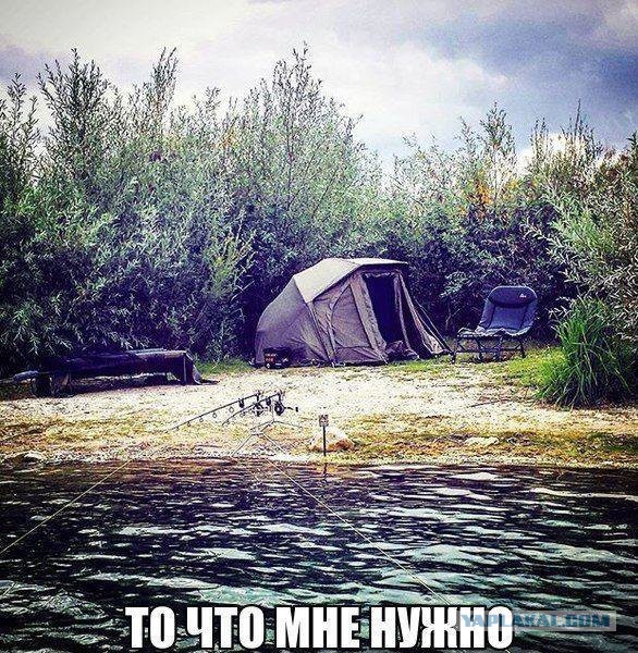 Пятничный абсурд и деградация приветствует вас!