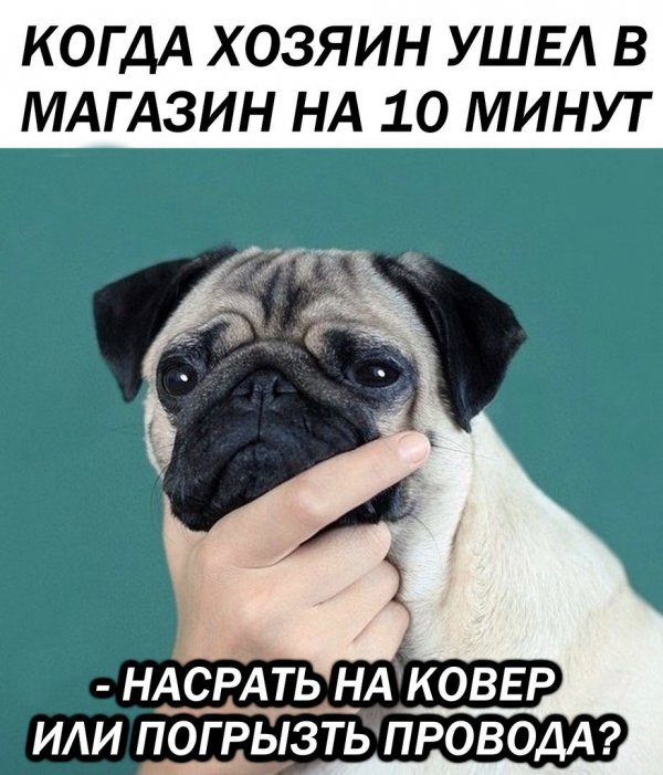 Приколы в стиле "регресс"