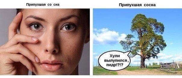 Чернь и деградация к выходным