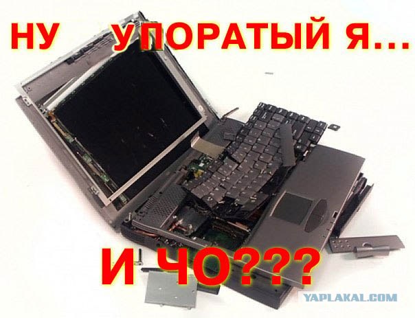 Записки из жизни СЦ по ремонту ноутбуков