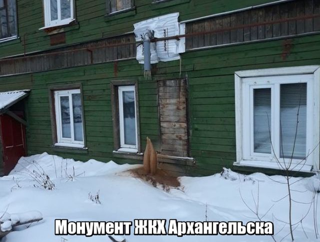 Подборка интересных и веселых картинок