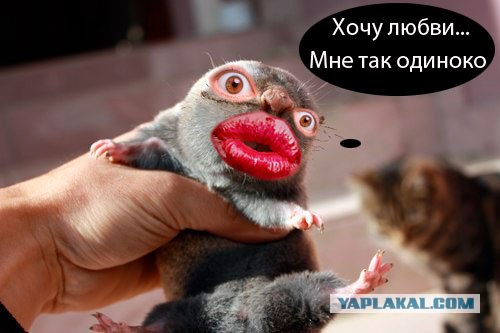 Пойманый крот