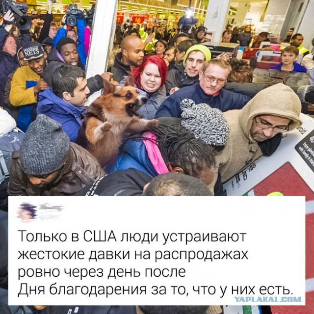 Я 5 лет прожила в США, но с некоторыми привычками американцев так и не смирилась