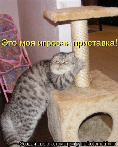 Лабиринт для кота